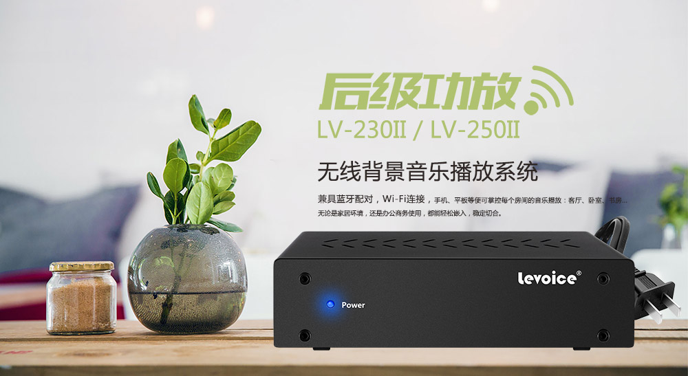 后级功放LV-250II